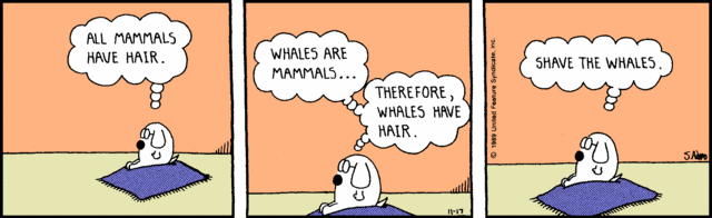 dilbert shave the whales