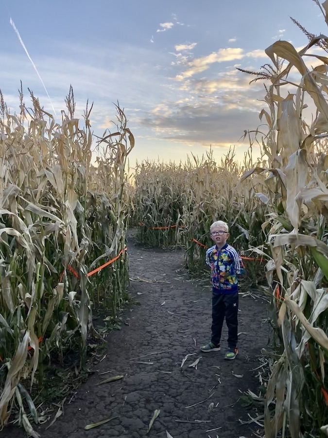 Corn Maze Edmonton 2020 - 4